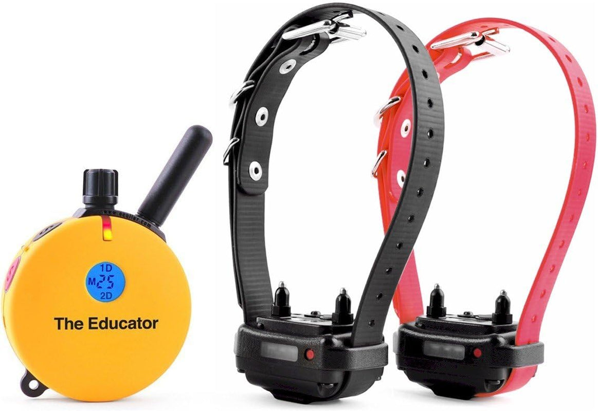 E-Collar Dog Training Collar, Rechargeable Remote + Finger Clicker, for Small to Medium Dogs, Humane Tapping Stimulation, 100 Levels, Tone, Light, 1/2 Mile 1 Dog, Zen