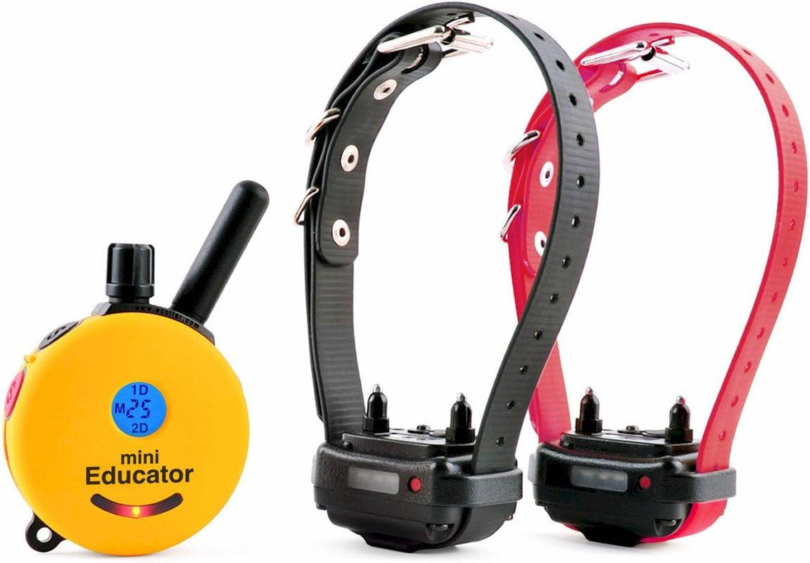 E-Collar Dog Training Collar, Rechargeable Remote + Finger Clicker, for Small to Medium Dogs, Humane Tapping Stimulation, 100 Levels, Tone, Light, 1/2 Mile 1 Dog, Zen