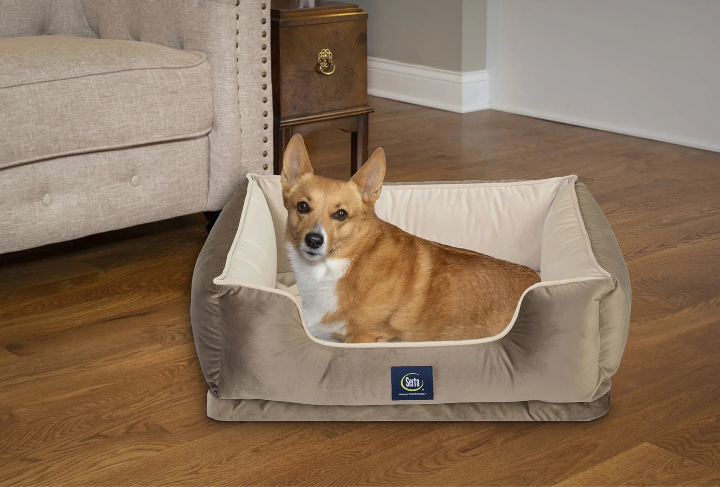 Ortho Cuddler Pet Dog Bed, Medium, Brown - Eco and More Pet Store