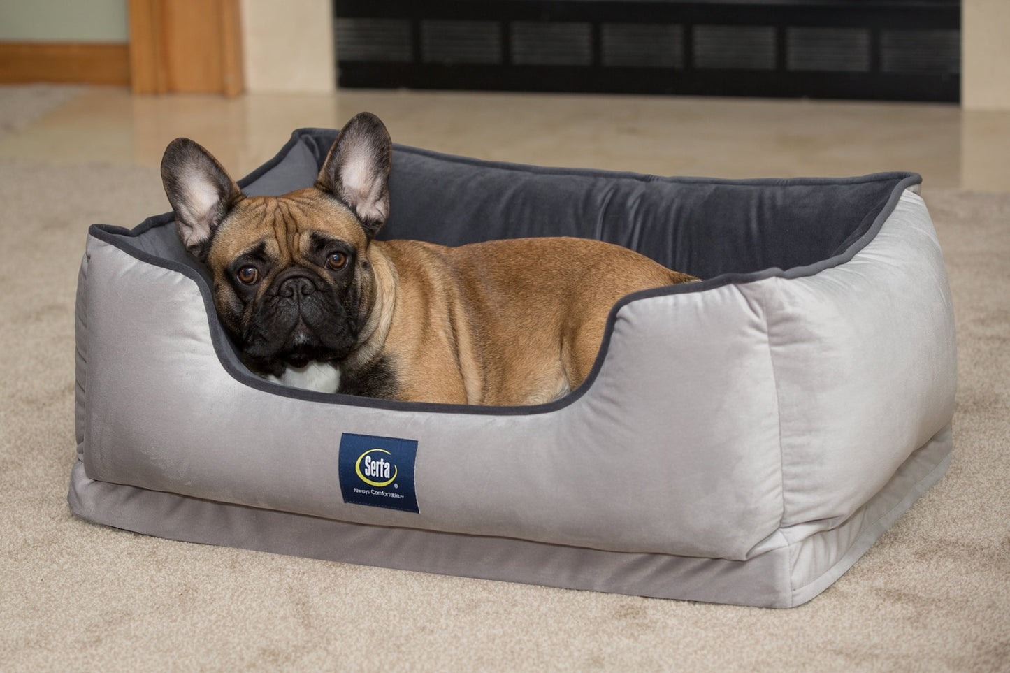 Ortho Cuddler Pet Dog Bed, Medium, Brown - Eco and More Pet Store