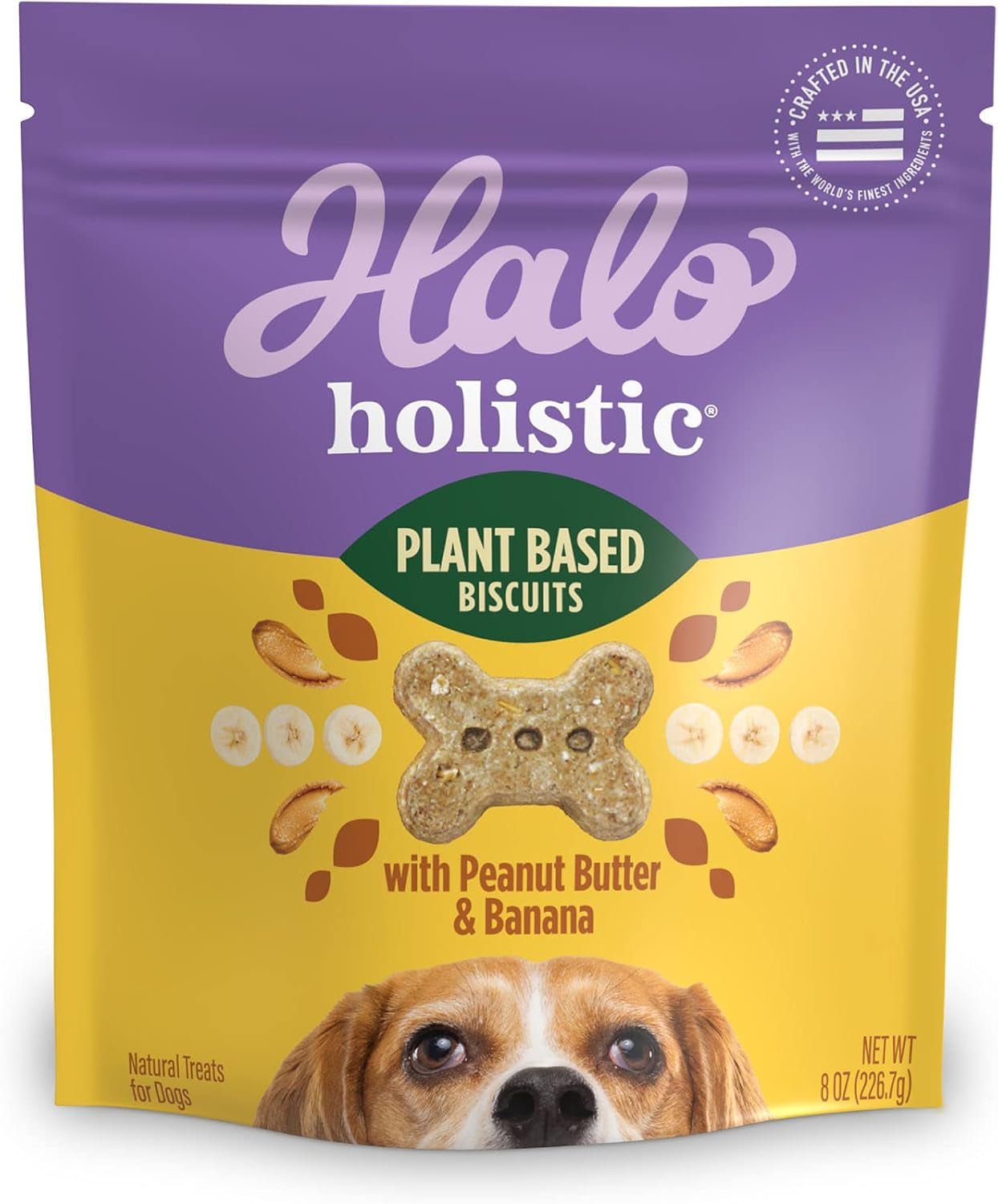Wild Earth Premium Holistic Vegan Dog Treats Variety Pack - Organic Plant - Based Superfood Biscuits - Peanut Butter & Banana, Oats & Blueberries, Pumpkin & Peanuts - Allergy - Friendly Healthy Snacks (3 Pack, 8oz Each) - Eco and More Pet Store