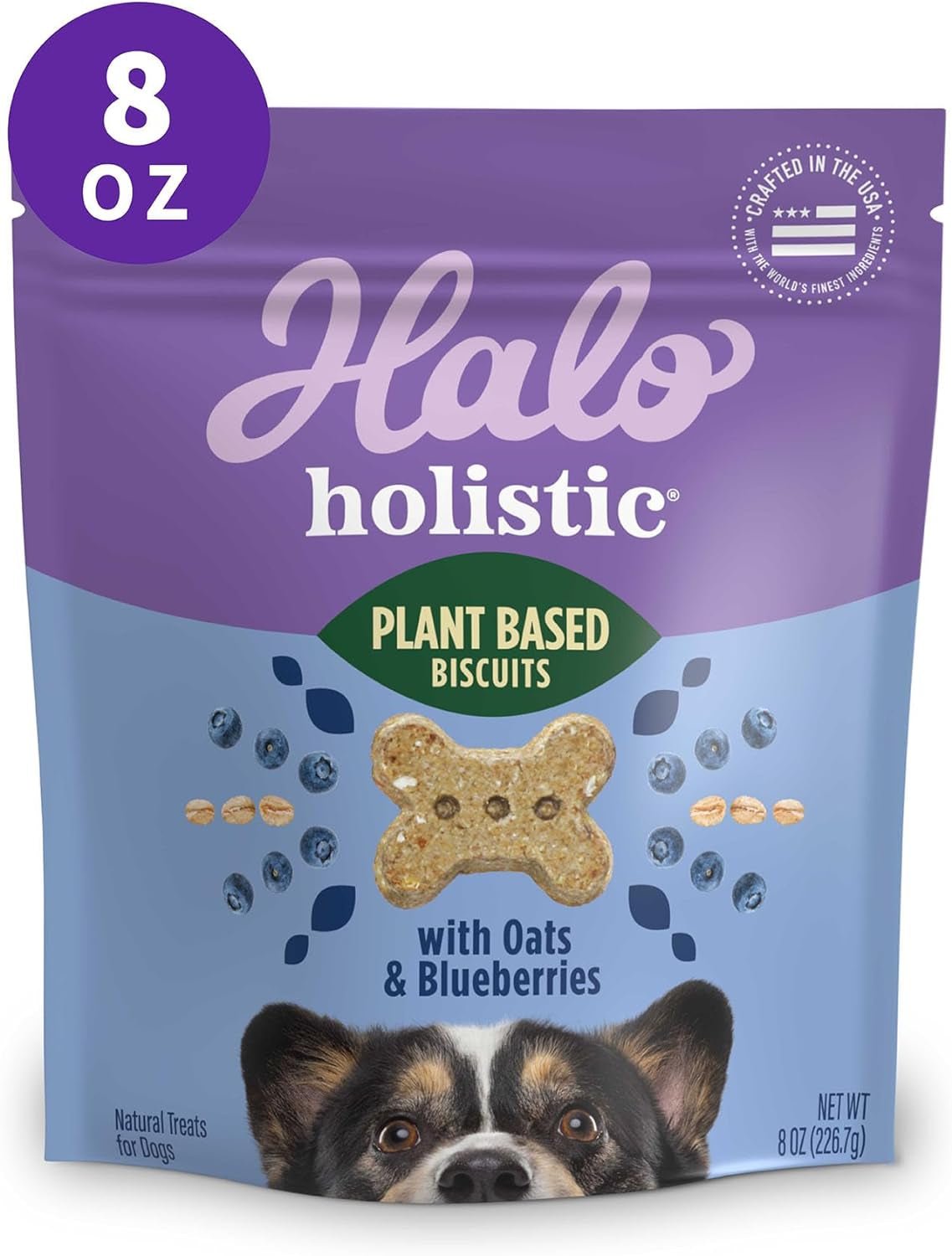 Wild Earth Premium Holistic Vegan Dog Treats Variety Pack - Organic Plant - Based Superfood Biscuits - Peanut Butter & Banana, Oats & Blueberries, Pumpkin & Peanuts - Allergy - Friendly Healthy Snacks (3 Pack, 8oz Each) - Eco and More Pet Store