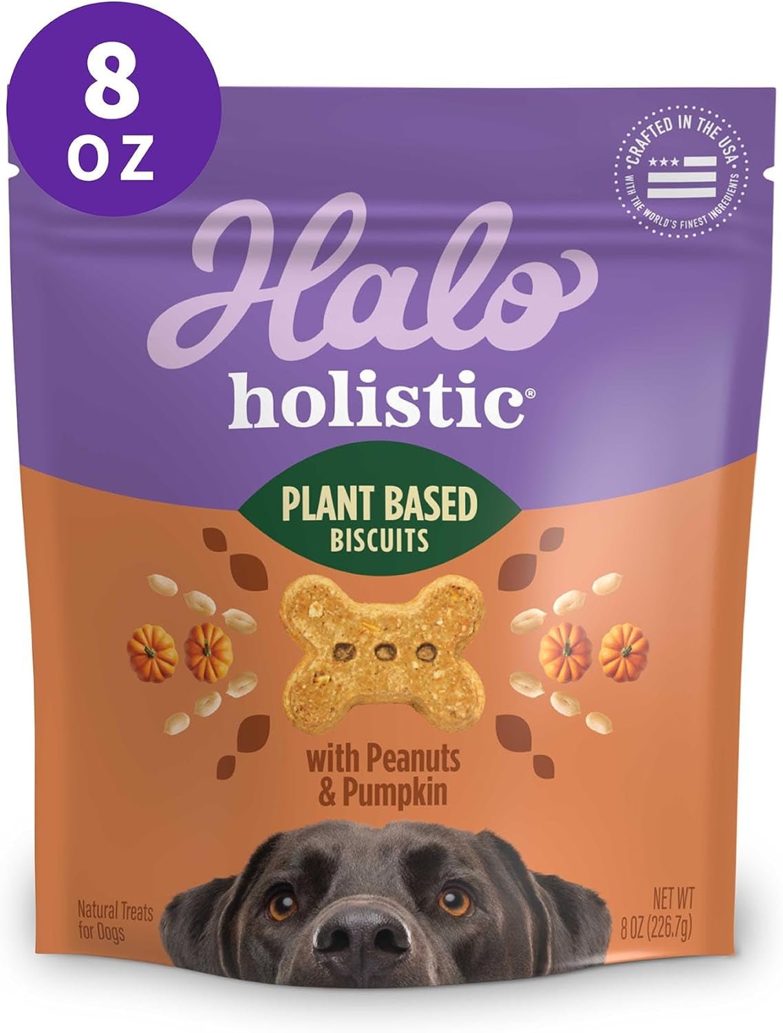 Wild Earth Premium Holistic Vegan Dog Treats Variety Pack - Organic Plant - Based Superfood Biscuits - Peanut Butter & Banana, Oats & Blueberries, Pumpkin & Peanuts - Allergy - Friendly Healthy Snacks (3 Pack, 8oz Each) - Eco and More Pet Store