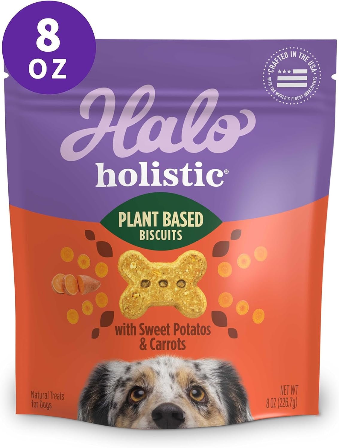 Wild Earth Premium Holistic Vegan Dog Treats Variety Pack - Organic Plant - Based Superfood Biscuits - Peanut Butter & Banana, Oats & Blueberries, Pumpkin & Peanuts - Allergy - Friendly Healthy Snacks (3 Pack, 8oz Each) - Eco and More Pet Store