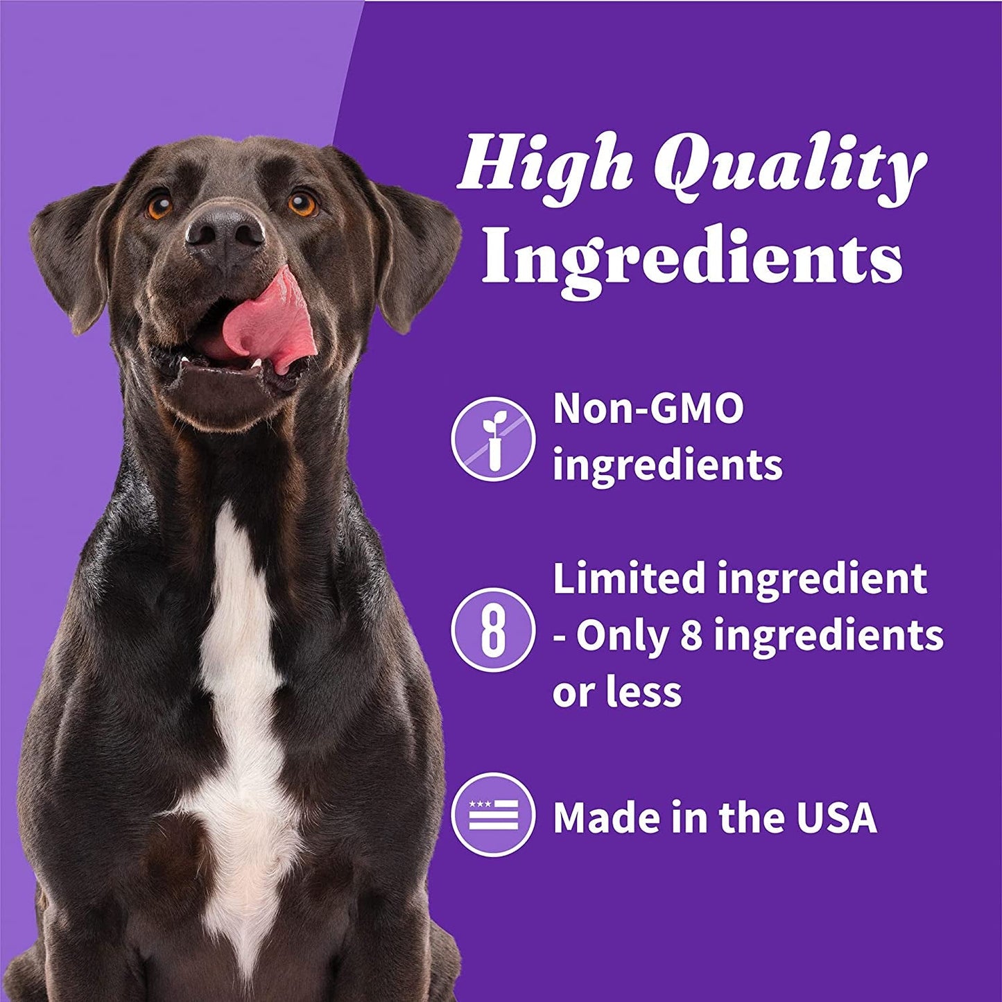 Wild Earth Premium Holistic Vegan Dog Treats Variety Pack - Organic Plant - Based Superfood Biscuits - Peanut Butter & Banana, Oats & Blueberries, Pumpkin & Peanuts - Allergy - Friendly Healthy Snacks (3 Pack, 8oz Each) - Eco and More Pet Store