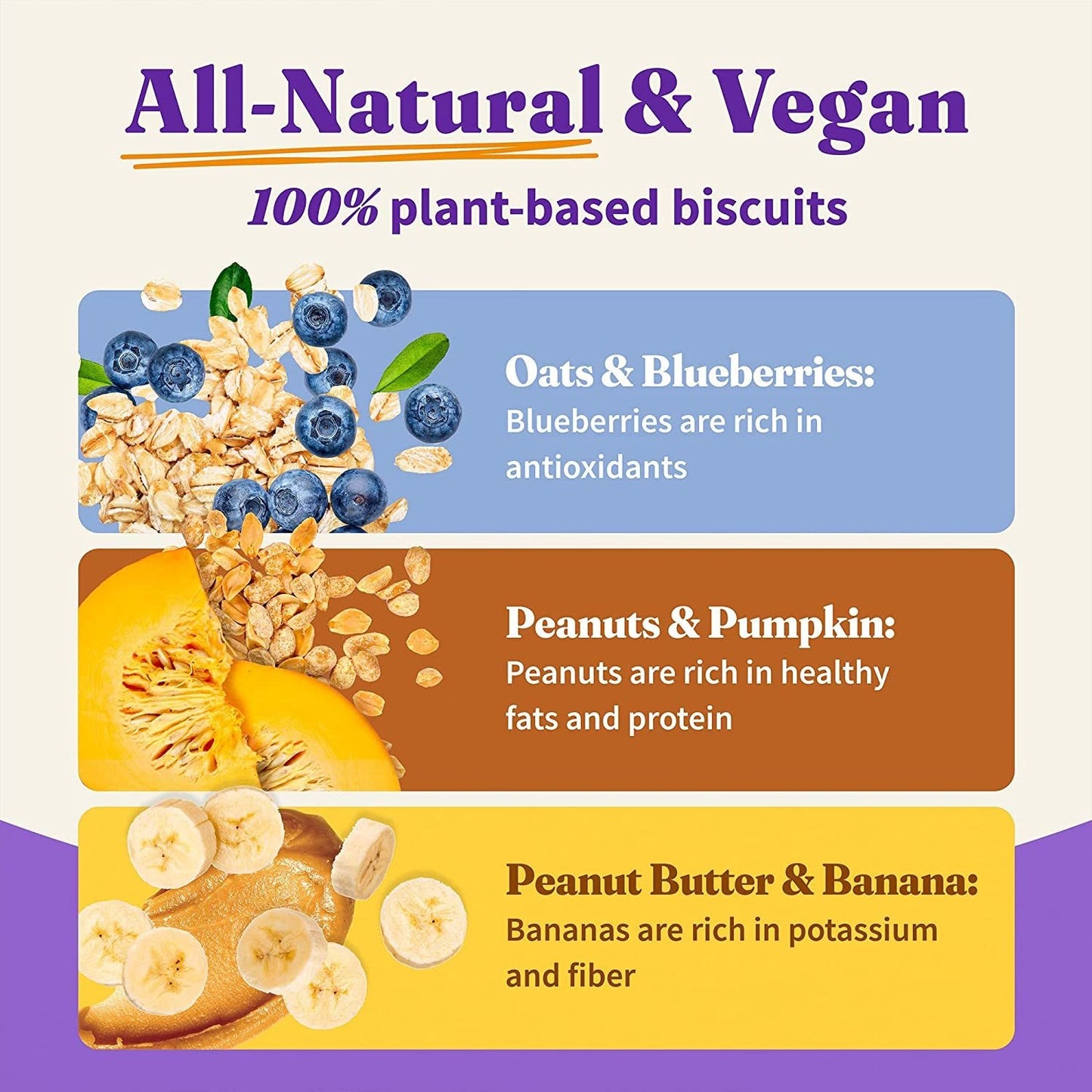 Wild Earth Premium Holistic Vegan Dog Treats Variety Pack - Organic Plant - Based Superfood Biscuits - Peanut Butter & Banana, Oats & Blueberries, Pumpkin & Peanuts - Allergy - Friendly Healthy Snacks (3 Pack, 8oz Each) - Eco and More Pet Store