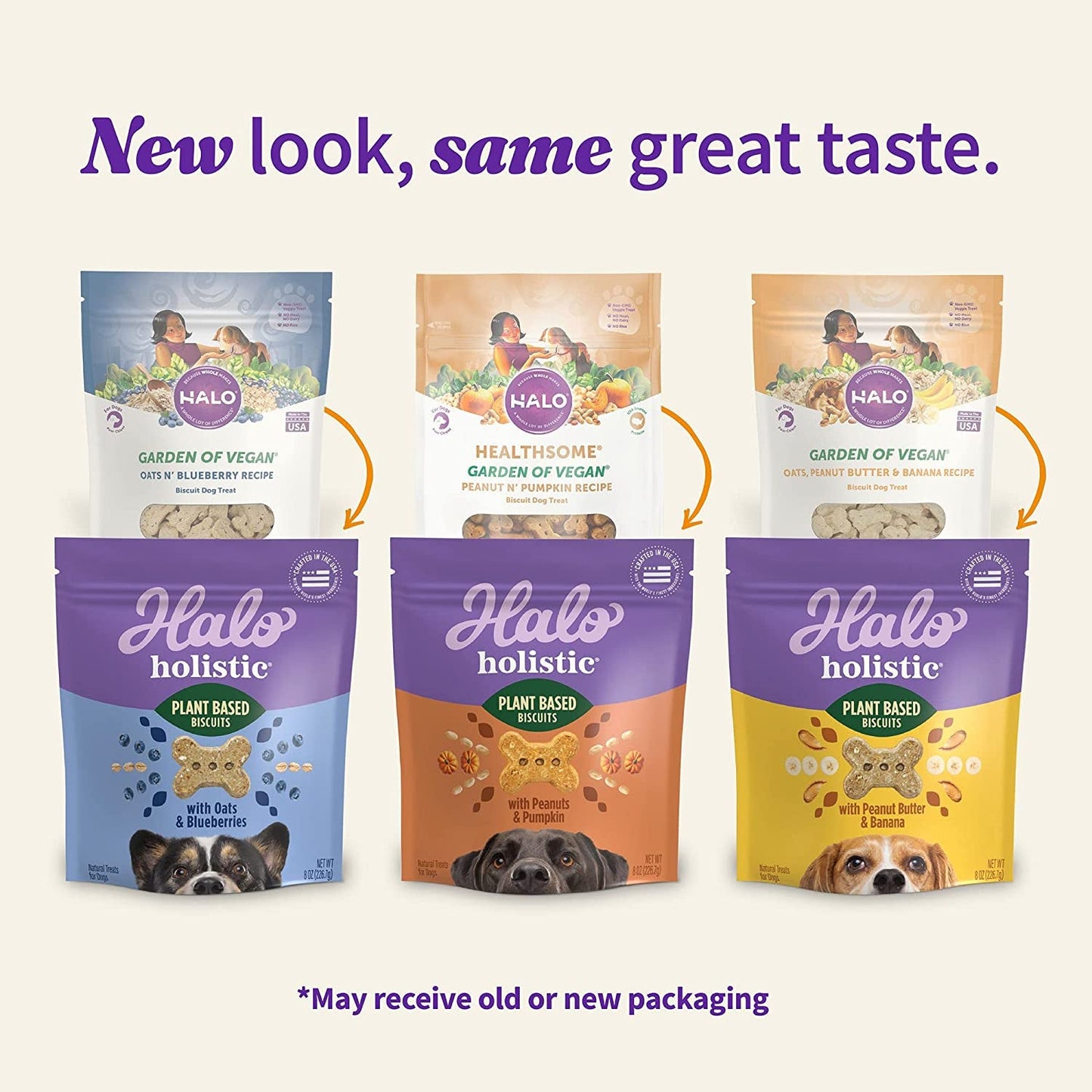 Wild Earth Premium Holistic Vegan Dog Treats Variety Pack - Organic Plant - Based Superfood Biscuits - Peanut Butter & Banana, Oats & Blueberries, Pumpkin & Peanuts - Allergy - Friendly Healthy Snacks (3 Pack, 8oz Each) - Eco and More Pet Store