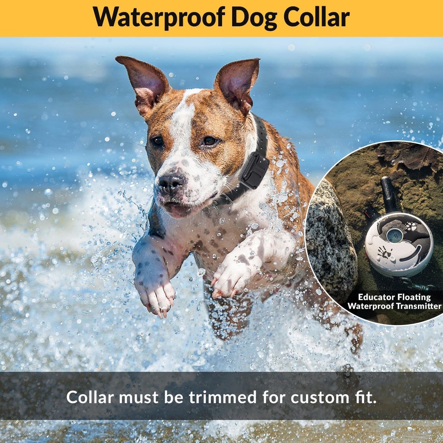 Zen Pro E - Collar Remote Dog Training System - Rechargeable Shock Collar with Finger Clicker for Small to Medium Dogs - 100 Level Humane Tapping Stimulation, Tone & Light Modes - 1/2 Mile Range - Eco and More Pet Store