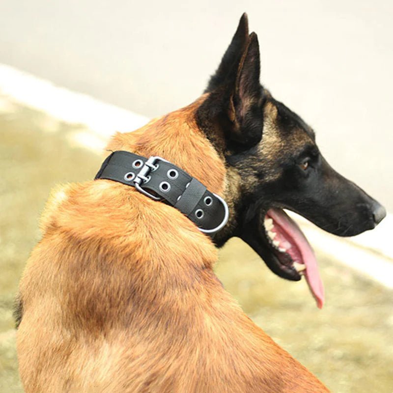 2" Wide Tactical Heavy Duty Nylon Large Dog Collar K9 Military with Metal Buckle - Eco and More Pet Store