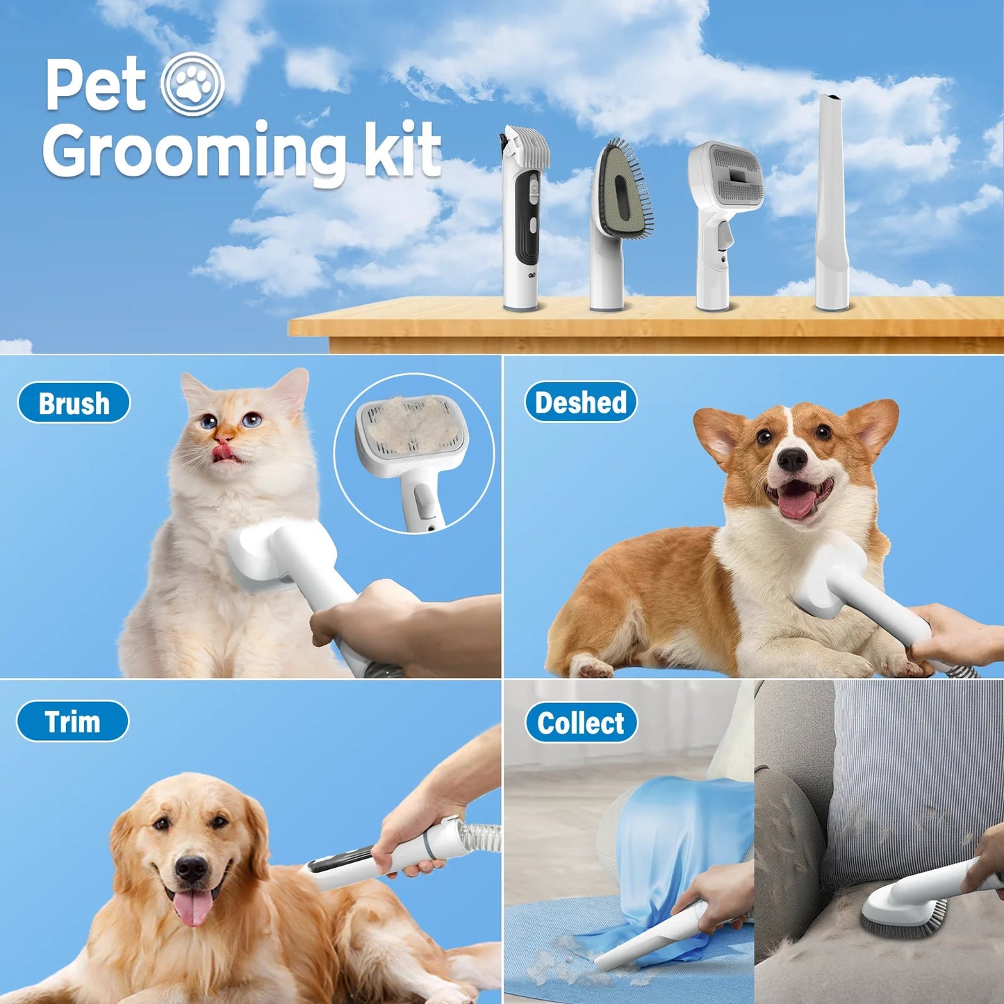 5 - in - 1 Pet Grooming Kit & Vacuum - 12Kpa Powerful Suction for Dogs & Cats | Efficient Grooming with 2L Dustbin for Easy Cleanup - Eco and More Pet Store