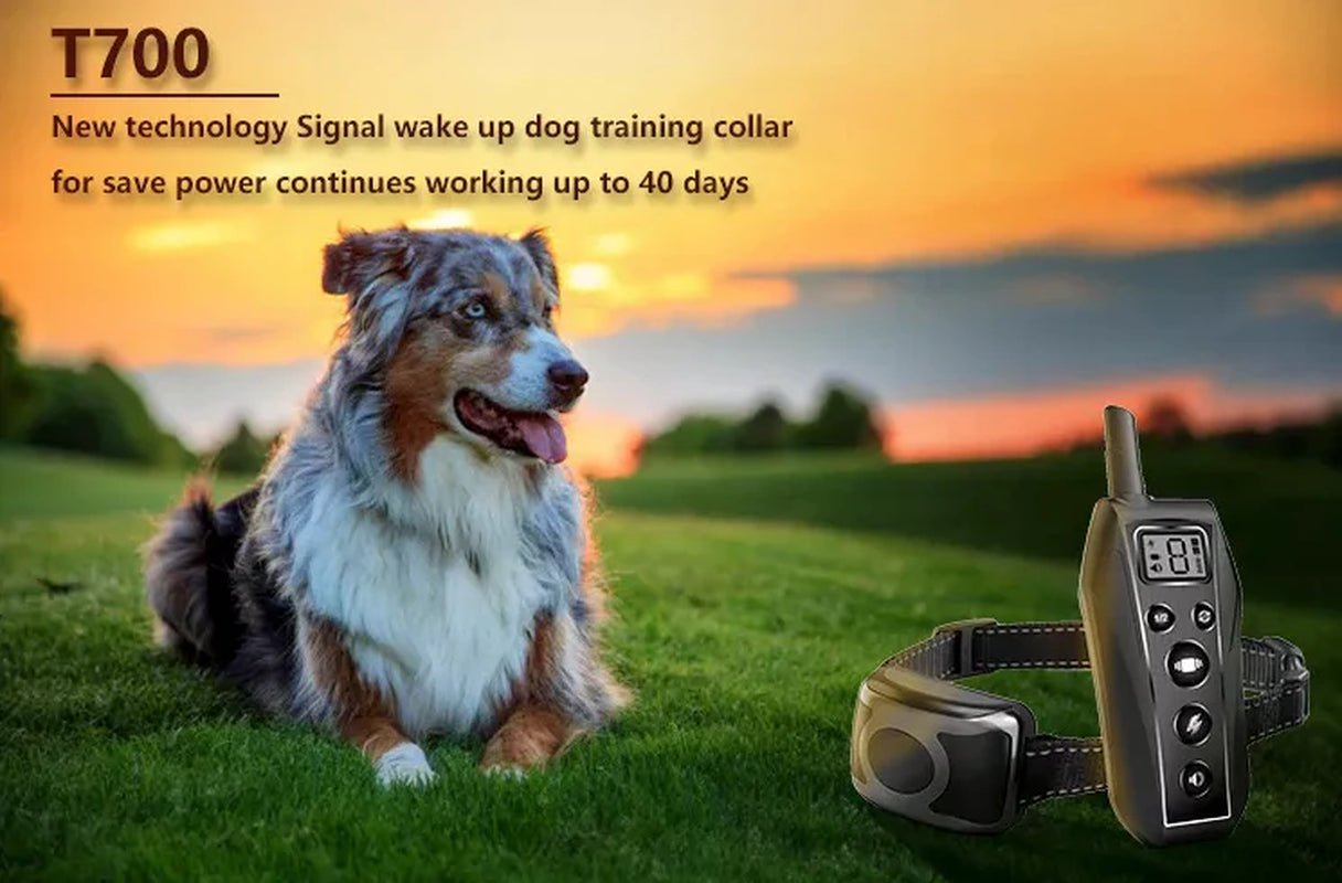 650 YD Remote Dog Training Shock Collar Waterproof for Small Medium Large Dogs - Eco and More Pet Store DBA Overseen