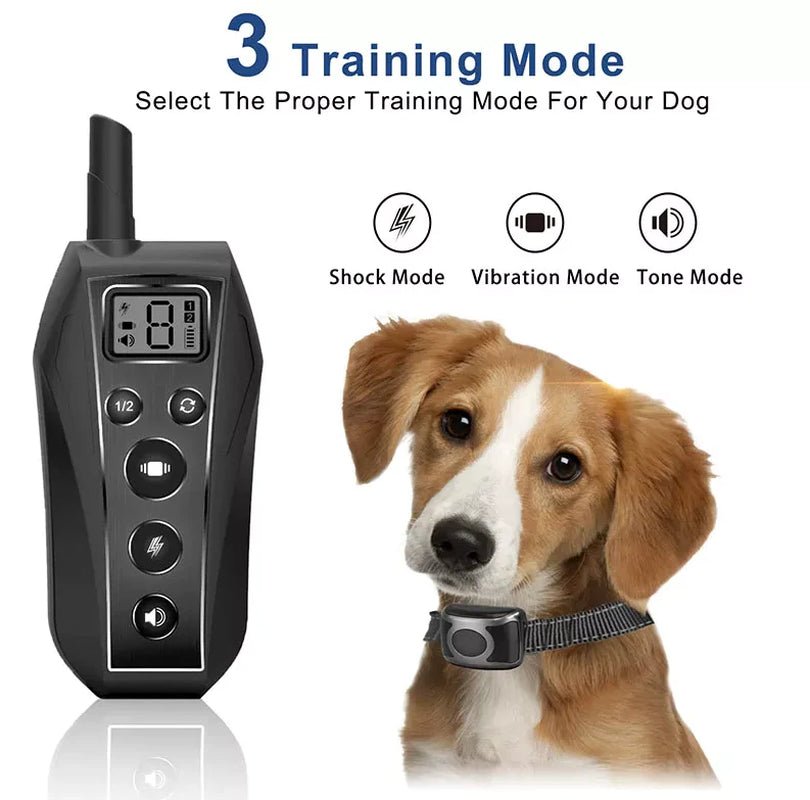 650 YD Remote Dog Training Shock Collar Waterproof for Small Medium Large Dogs - Eco and More Pet Store DBA Overseen