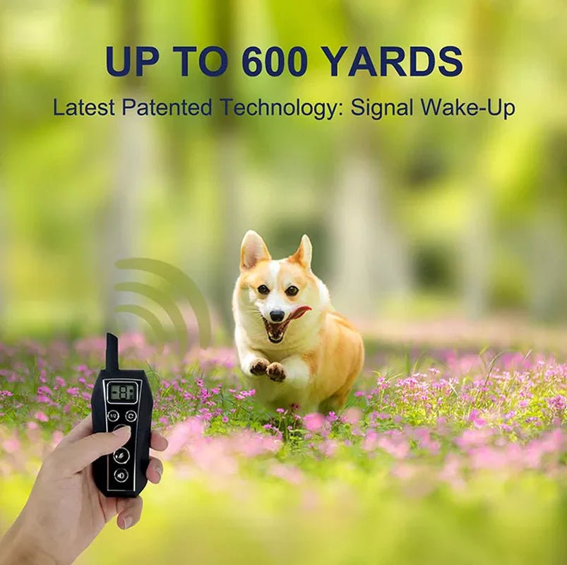 650 YD Remote Dog Training Shock Collar Waterproof for Small Medium Large Dogs - Eco and More Pet Store DBA Overseen