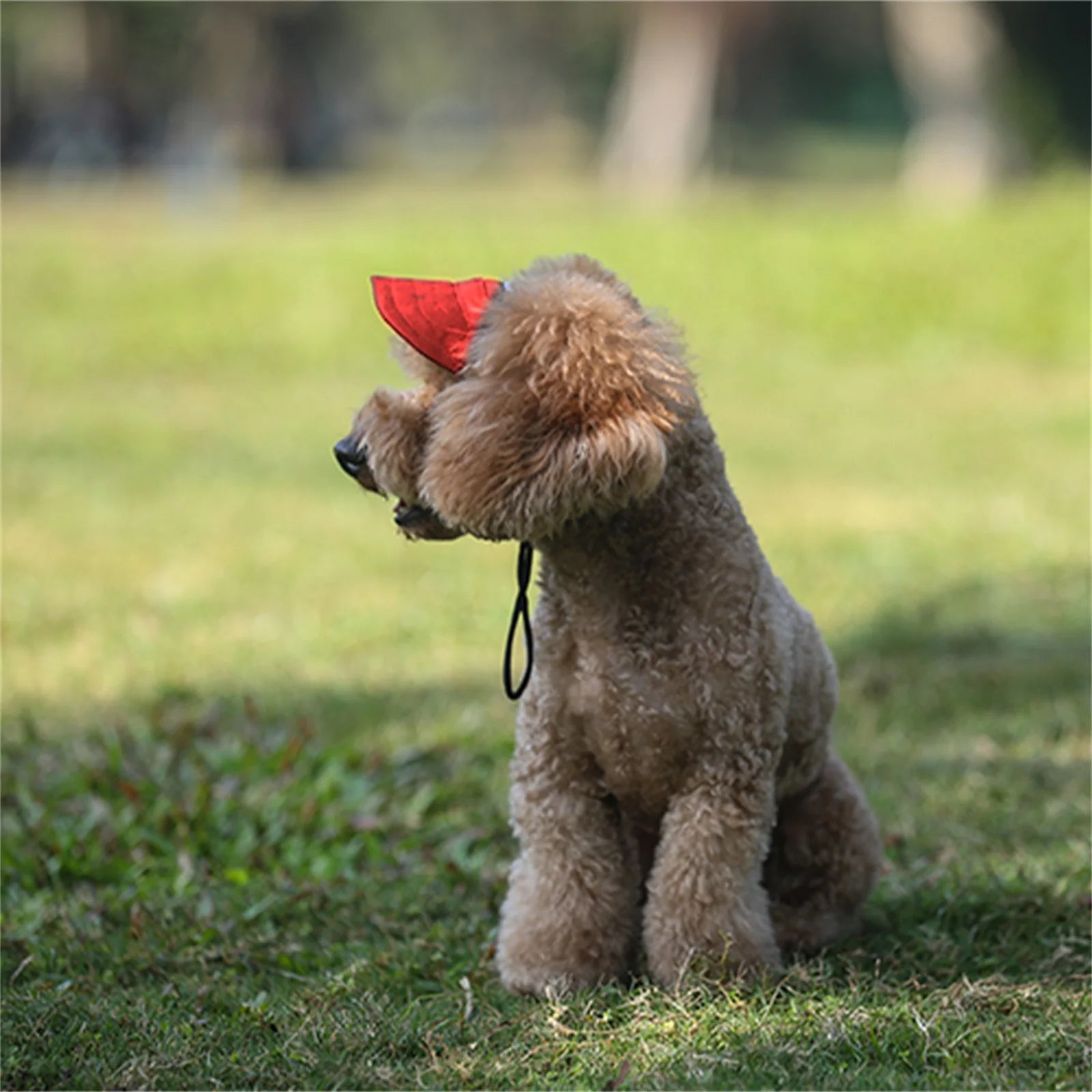 Adjustable Pet Dog Travel Cute Baseball Hat Sun Cap Visor Hat with Ear Holes Outdoor Sport Pet Supplies - Eco and More Pet Store