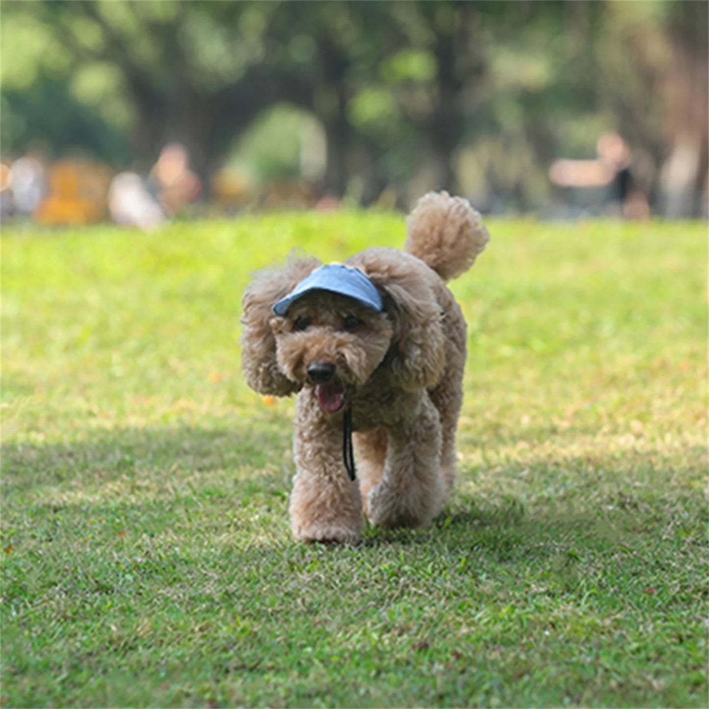 Adjustable Pet Dog Travel Cute Baseball Hat Sun Cap Visor Hat with Ear Holes Outdoor Sport Pet Supplies - Eco and More Pet Store