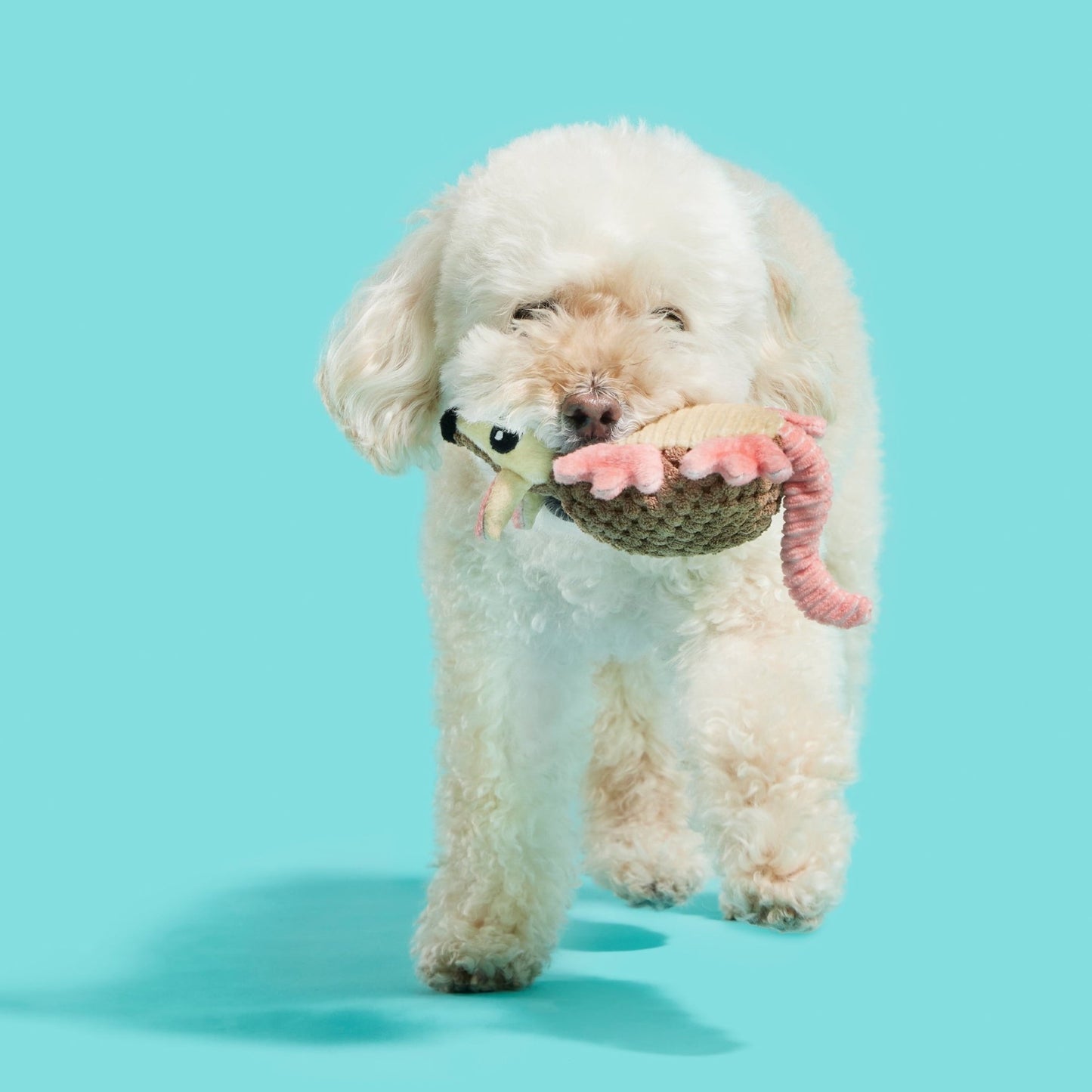 Armie Dillo Dog Toy - Features Crazy Crinkle, Extra Fluff, Xs to Small Dogs - Eco and More Pet Store