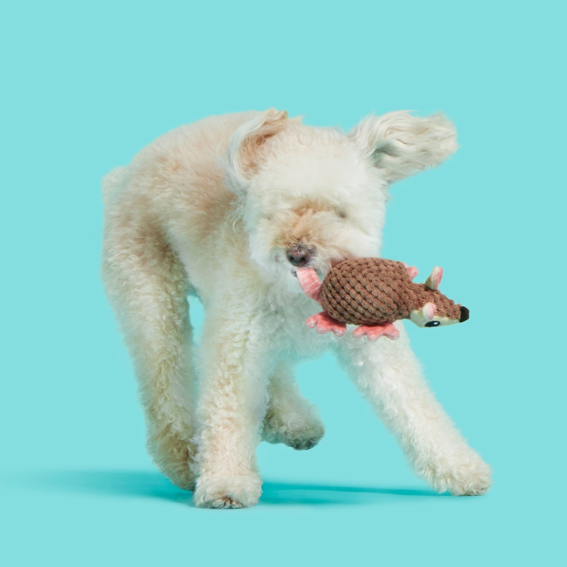 Armie Dillo Dog Toy - Features Crazy Crinkle, Extra Fluff, Xs to Small Dogs - Eco and More Pet Store