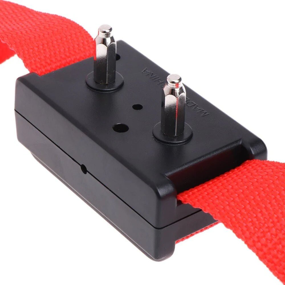 Automatic anti Bark Barking Dog Shock Control COLLAR Device Small Medium Large - Eco and More Pet Store DBA Overseen