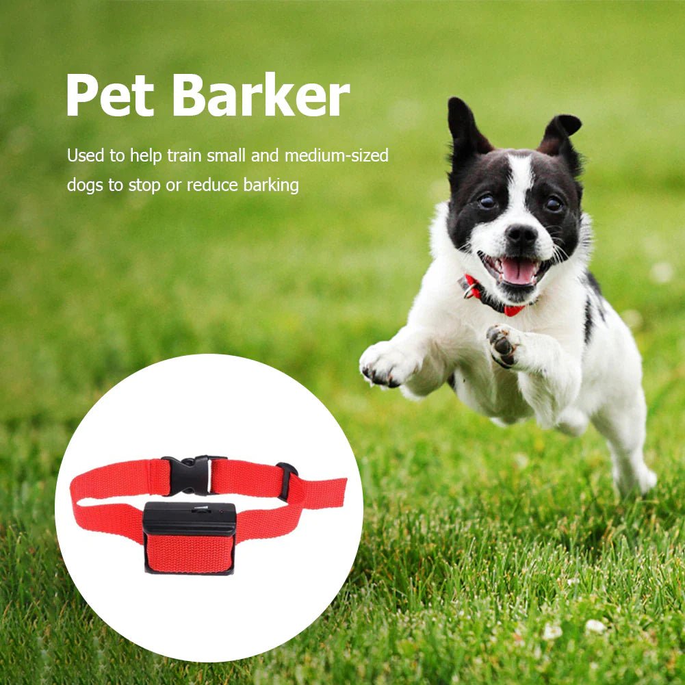 Automatic anti Bark Barking Dog Shock Control COLLAR Device Small Medium Large - Eco and More Pet Store DBA Overseen