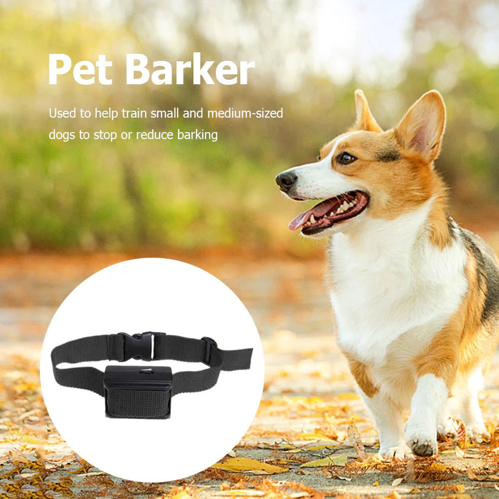 Automatic anti Bark Barking Dog Shock Control COLLAR Device Small Medium Large - Eco and More Pet Store DBA Overseen