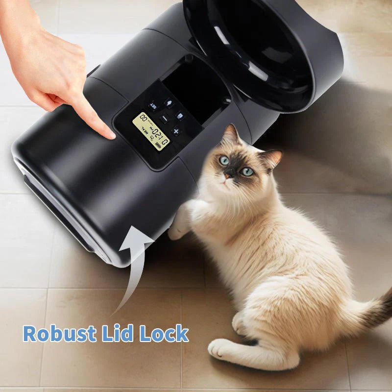 Automatic Cat Feeder| 2L Dry Food Dispenser - Eco and More Pet Store DBA Overseen
