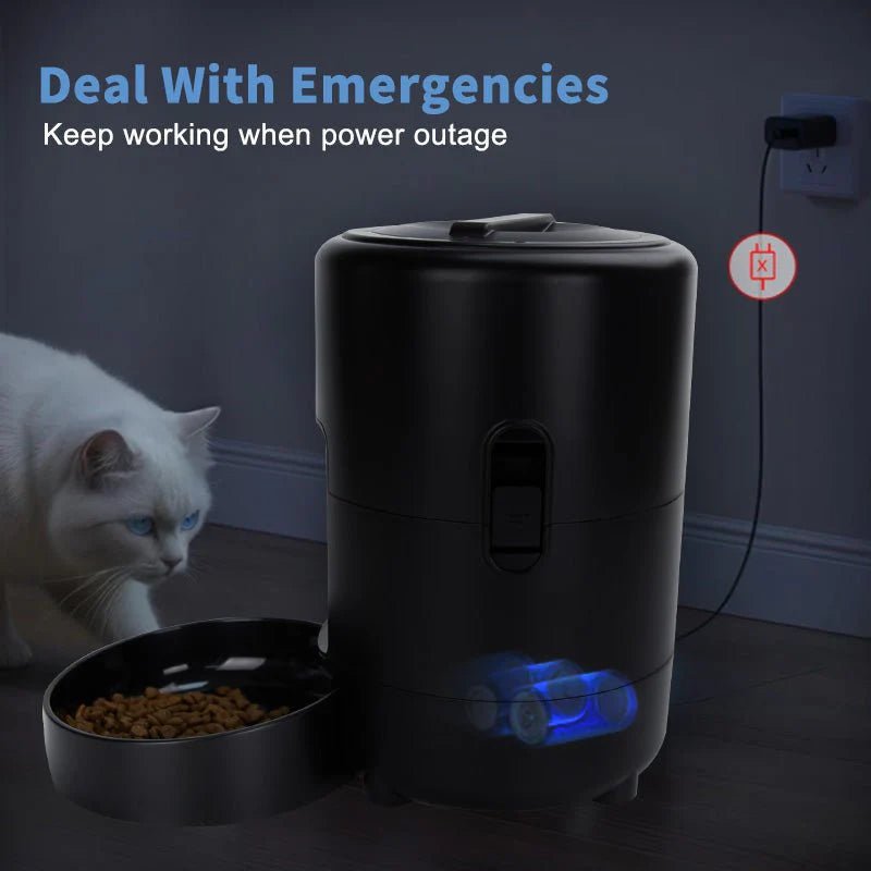 Automatic Cat Feeder| 2L Dry Food Dispenser - Eco and More Pet Store DBA Overseen
