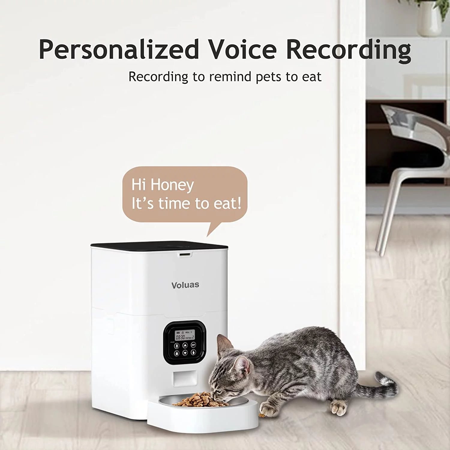 Automatic Cat Feeders - Automatic Pet Feeders for Cats and Dogs, Dry Food Dispenser with Desiccant Bag, Timed Cat Feeder, Programmable Portion Size Control 4 Meals per Day, 10S Voice Recorder - Eco and More Pet Store