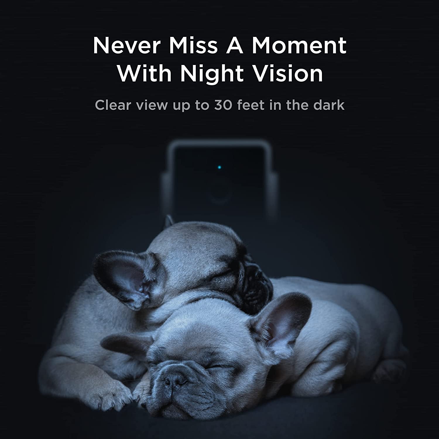 Cam | Indoor Wi - Fi Pet and Security Camera with Phone App, Pet Monitor with 2 - Way Audio and Video, Night Vision, 1080P HD Video and Smart Alerts for Ultimate Home Security - Eco and More Pet Store