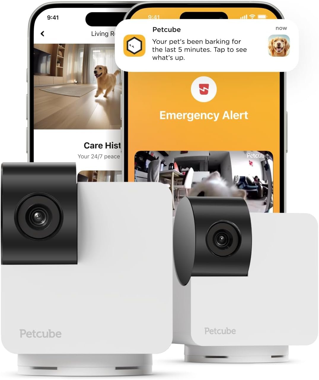 Cam | Indoor Wi - Fi Pet and Security Camera with Phone App, Pet Monitor with 2 - Way Audio and Video, Night Vision, 1080P HD Video and Smart Alerts for Ultimate Home Security - Eco and More Pet Store