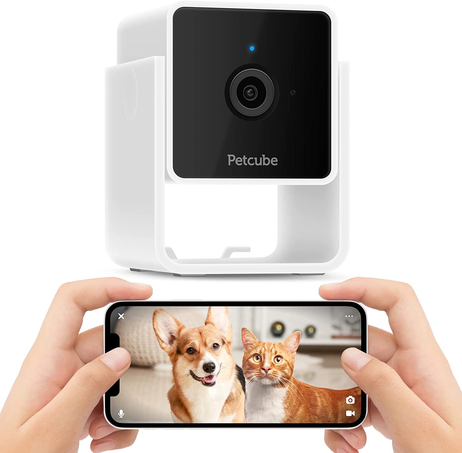 Cam | Indoor Wi - Fi Pet and Security Camera with Phone App, Pet Monitor with 2 - Way Audio and Video, Night Vision, 1080P HD Video and Smart Alerts for Ultimate Home Security - Eco and More Pet Store