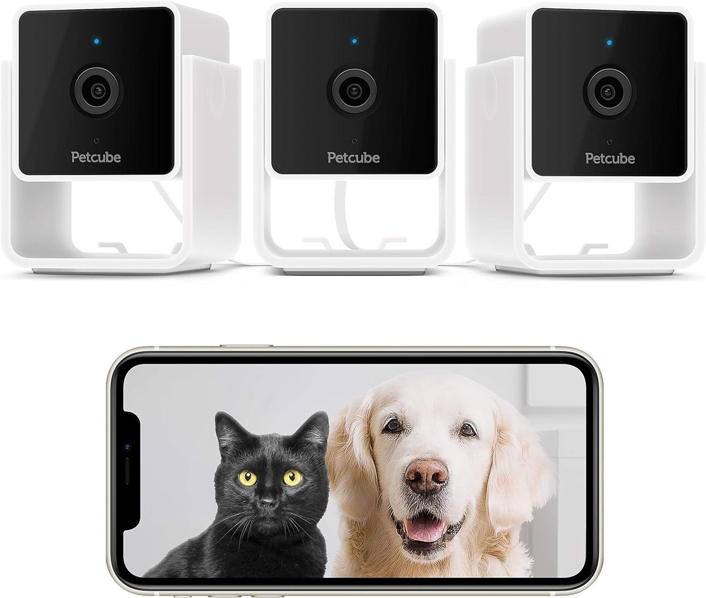 Cam | Indoor Wi - Fi Pet and Security Camera with Phone App, Pet Monitor with 2 - Way Audio and Video, Night Vision, 1080P HD Video and Smart Alerts for Ultimate Home Security - Eco and More Pet Store