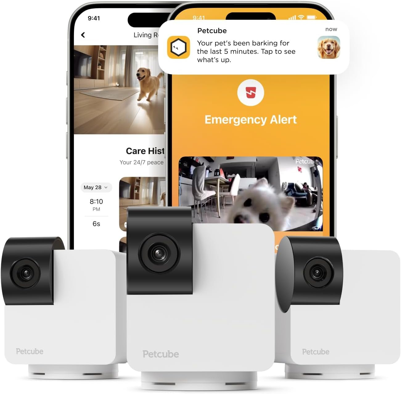 Cam | Indoor Wi - Fi Pet and Security Camera with Phone App, Pet Monitor with 2 - Way Audio and Video, Night Vision, 1080P HD Video and Smart Alerts for Ultimate Home Security - Eco and More Pet Store