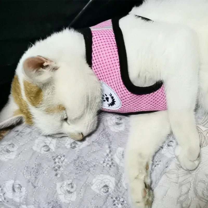 Cat Dog Pet Harness Adjustable Control Vest Dogs Reflective S M L XL Leash - Eco and More Pet Store