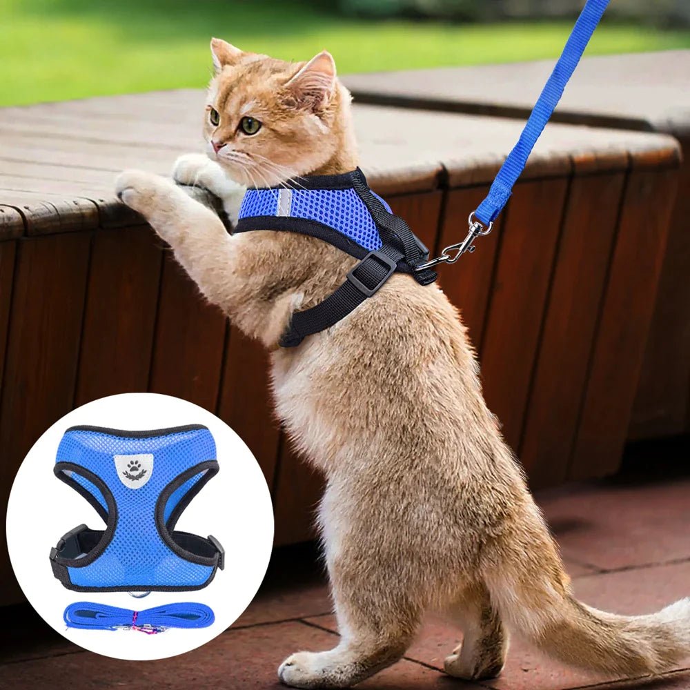 Cat Dog Pet Harness Adjustable Control Vest Dogs Reflective S M L XL Leash - Eco and More Pet Store