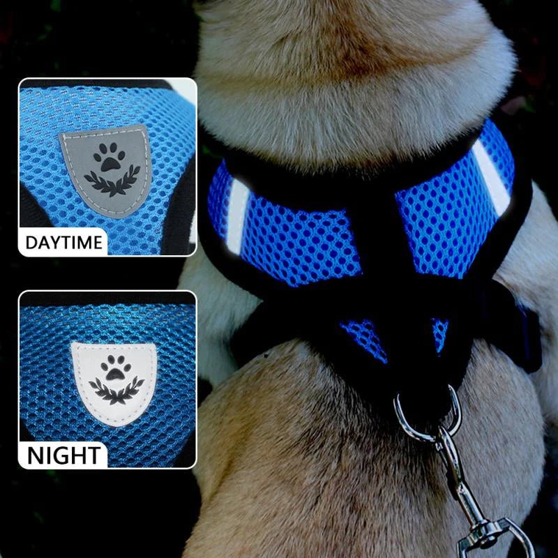 Cat Dog Pet Harness Adjustable Control Vest Dogs Reflective S M L XL Leash - Eco and More Pet Store