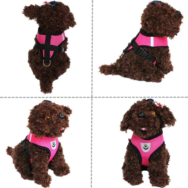 Cat Dog Pet Harness Adjustable Control Vest Dogs Reflective S M L XL Leash - Eco and More Pet Store