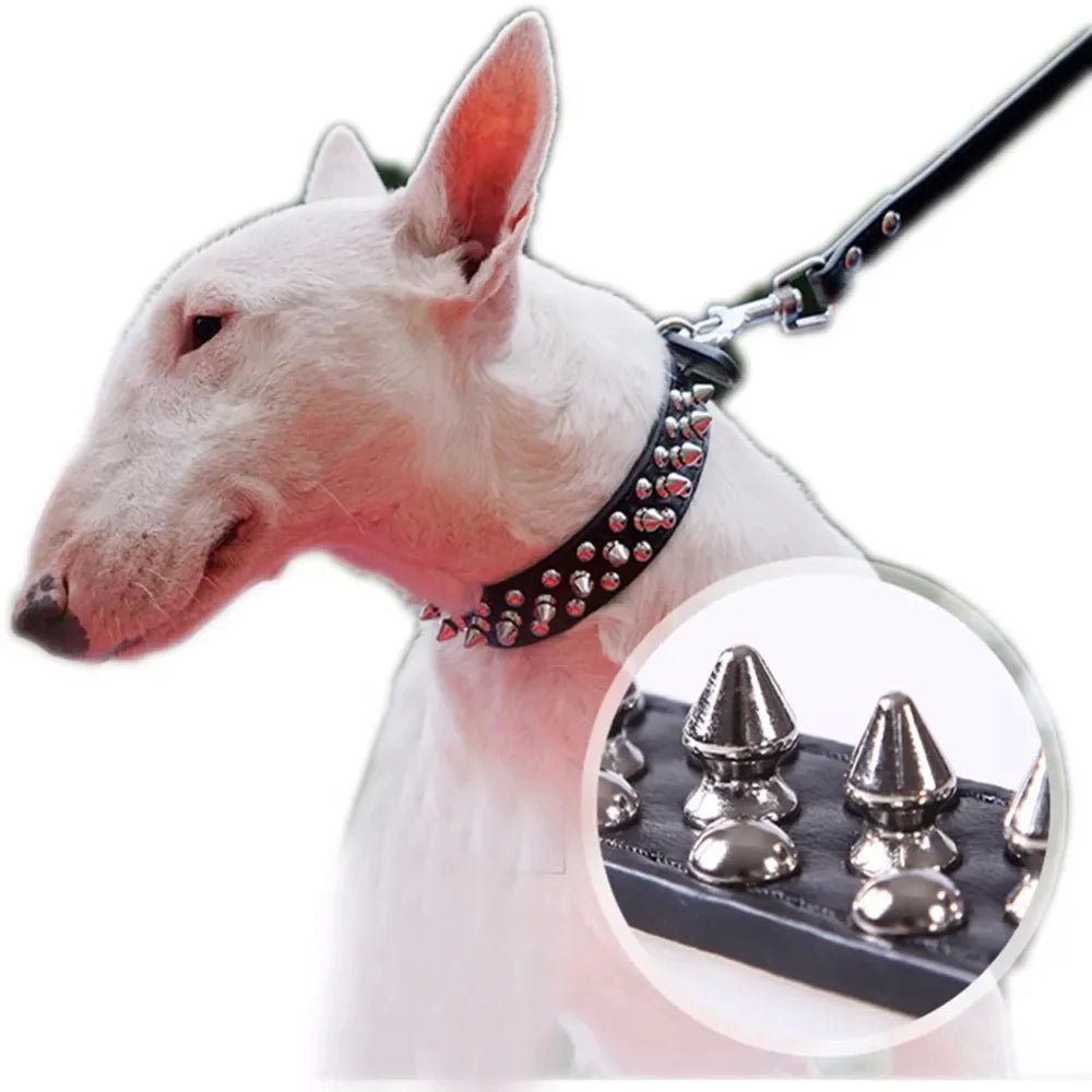 Dog Collar | Spiked Studded Leather Dog Collar Rivets Pet Small Large Cat Pit Bull Adjustable - Eco and More Pet Store DBA Overseen