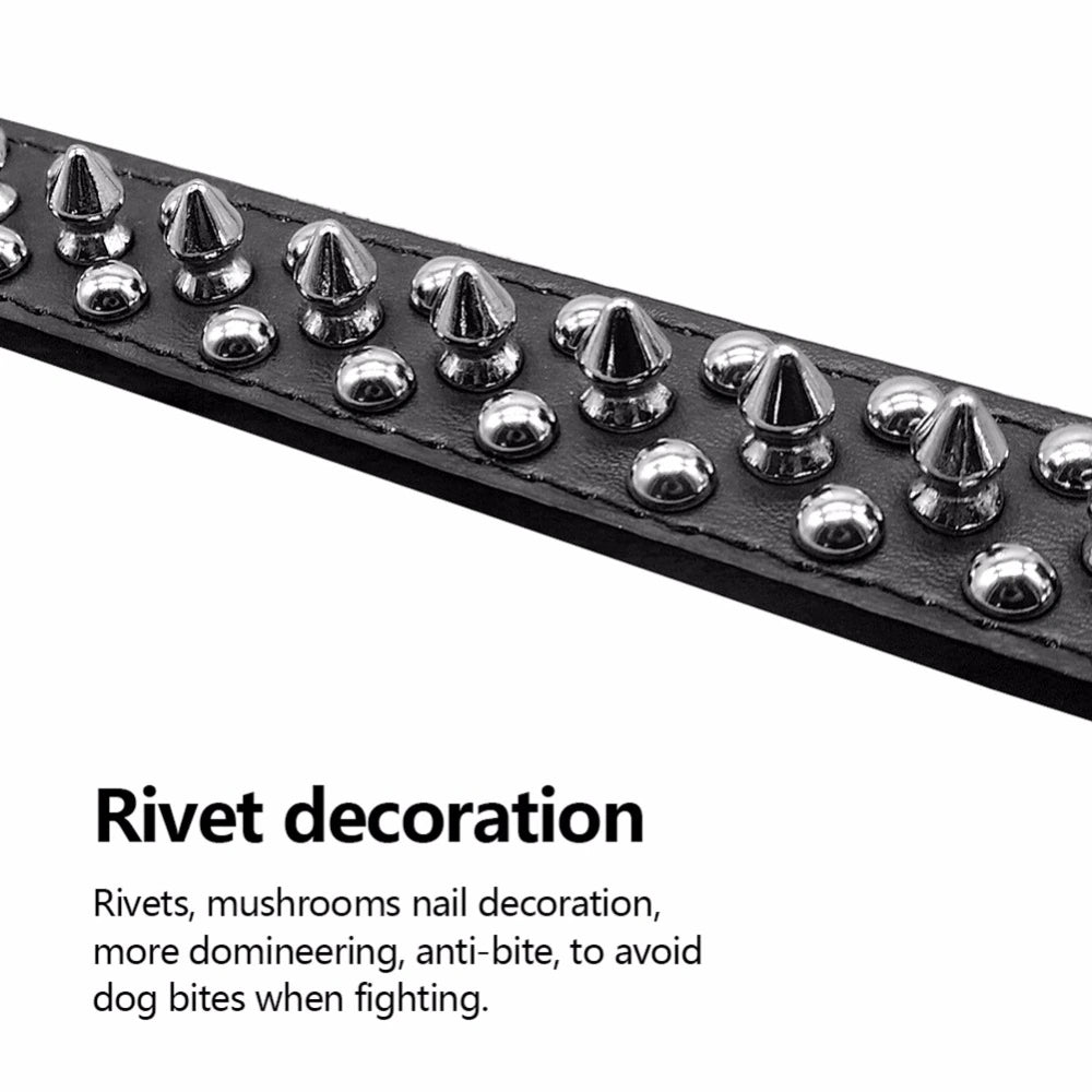 Dog Collar | Spiked Studded Leather Dog Collar Rivets Pet Small Large Cat Pit Bull Adjustable - Eco and More Pet Store DBA Overseen