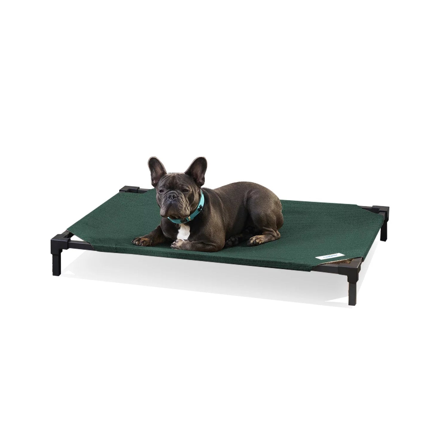 Dog Cooling Elevated Bed Pro, Large, Fits in 48In Crates, Nutmeg - Eco and More Pet Store