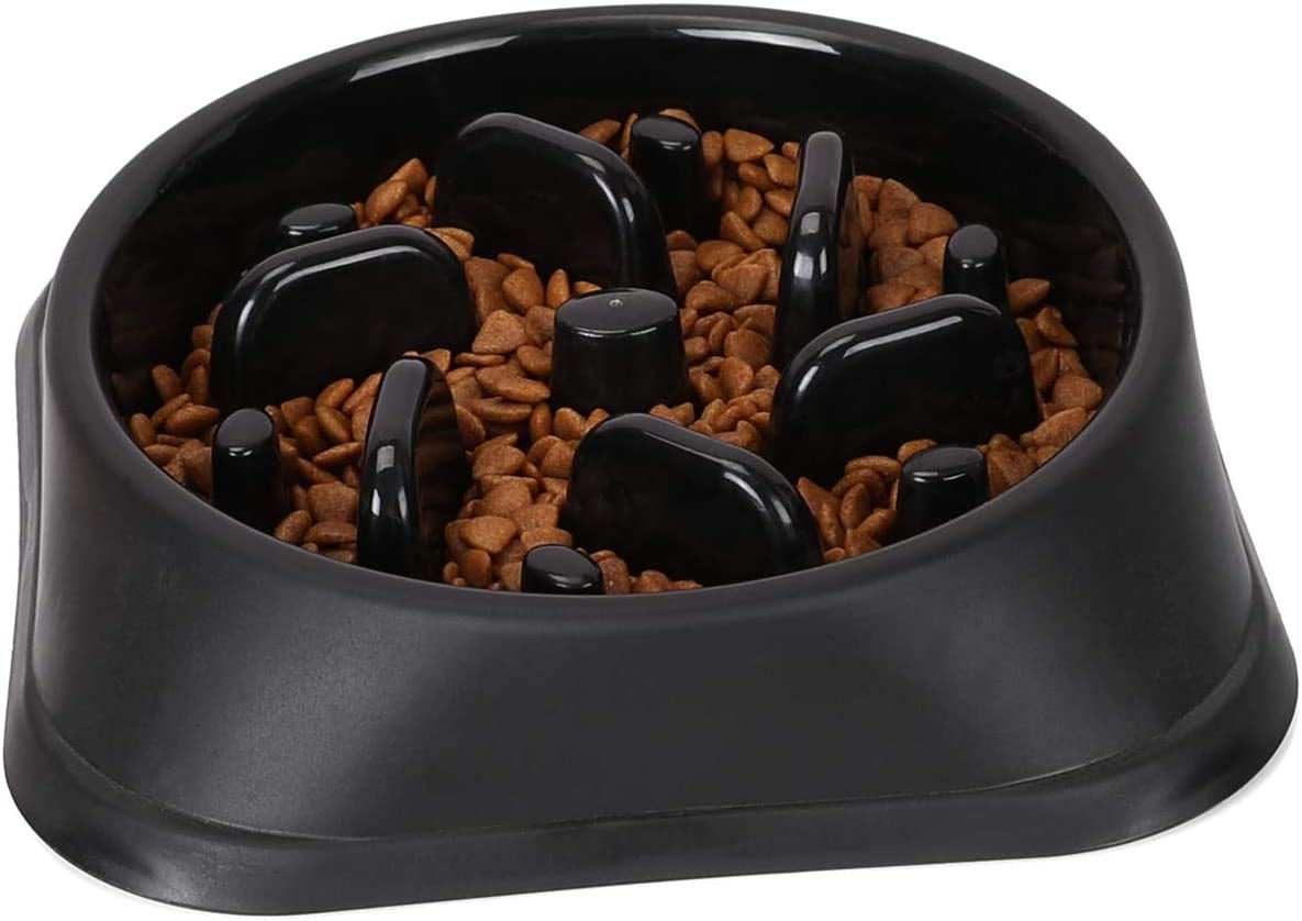 Dog Feeder Slow Eating Pet Bowl Eco - Friendly Non - Toxic Preventing Choking Healthy Design Bowl for Dog Pet Stop Bloat Bowl - Eco and More Pet Store