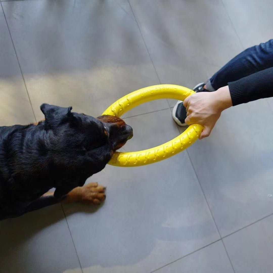 Dog Ring Toys Indestructible Chewing Flying Floating Training Tools Fetch for Small Medium Large Dogs Throwing Catching Flying - Eco and More Pet Store