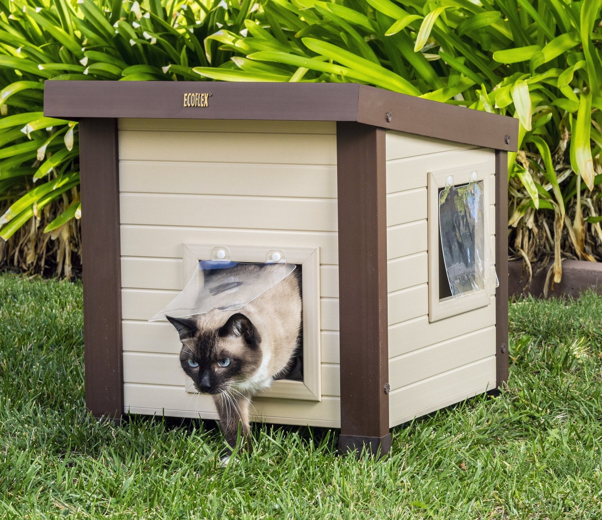 ® ECOFLEX® Outdoor Cat House, Durable Wood - Plastic Composite, Dual Entry, Easy Assembly, Elevated Floor, Ventilated, Heated Pad Compatible, for Multiple Cats, Maple/Brown - Eco and More Pet Store