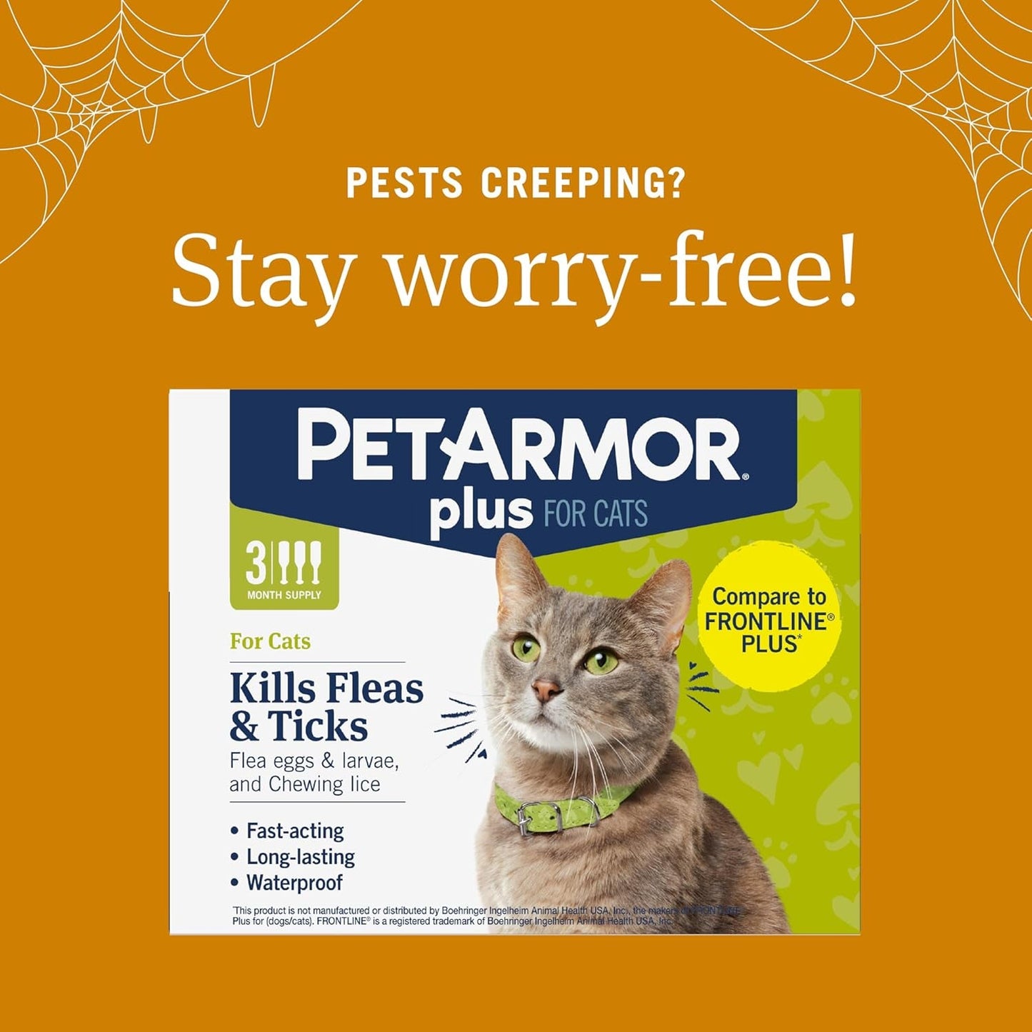 Fast - Acting Flea and Tick Prevention for Cats | Waterproof Topical Treatment (3 Doses) for Cats Over 1.5 lbs - Effective Defense Against Pests - Eco and More Pet Store