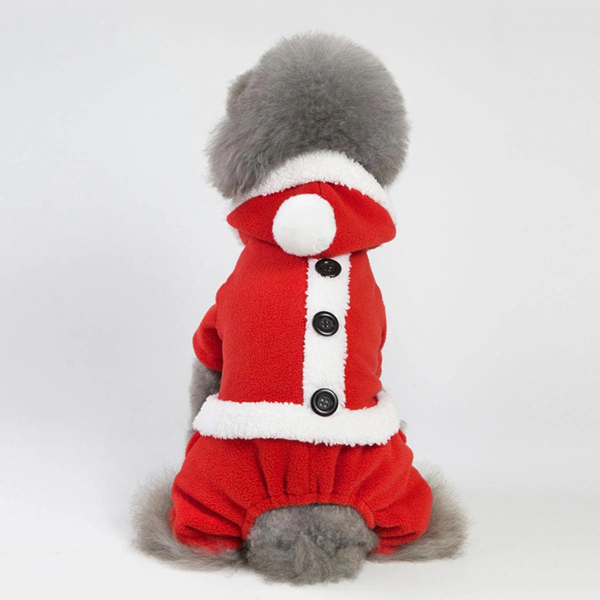 Festive and Chic Holiday Pet Apparel - Eco and More Pet Store