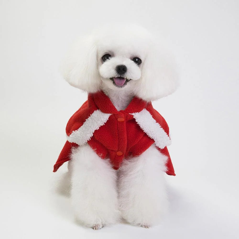 Festive and Chic Holiday Pet Apparel - Eco and More Pet Store