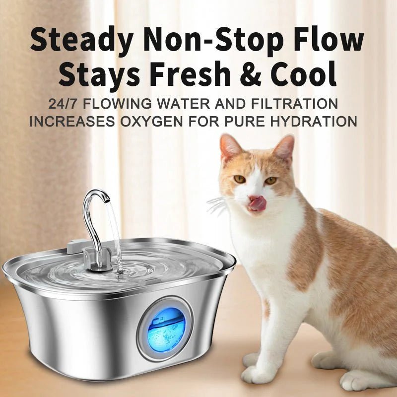 HEYBO Cat Water Fountain 3.2L Automatic Stainless Steel Pet Fountain Dog Water Dispenser - Eco and More Pet Store DBA Overseen