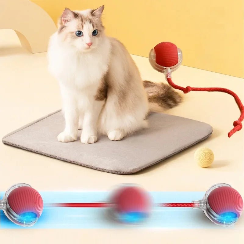 Interactive Cat Toys Ball Auto Electric Rolling Ball Toys for Cats/Kitty Pets Smart Automatic Teaser USB Rechargeable - Eco and More Pet Store