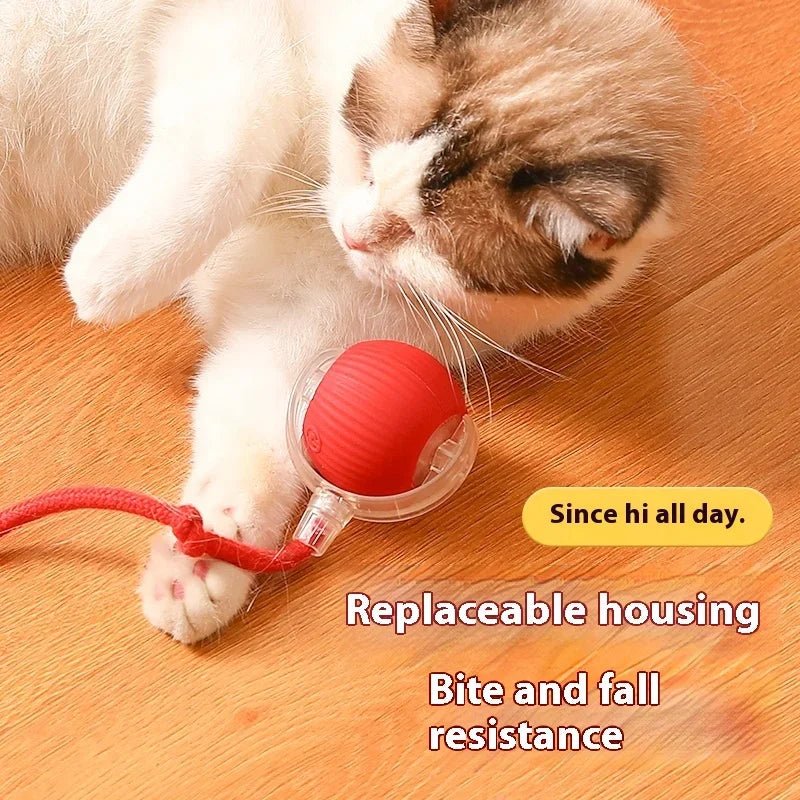 Interactive Cat Toys Ball Auto Electric Rolling Ball Toys for Cats/Kitty Pets Smart Automatic Teaser USB Rechargeable - Eco and More Pet Store