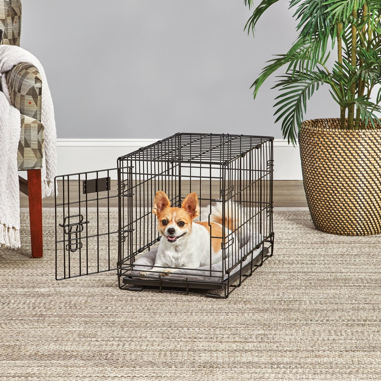 Midwest Lifestages Double Door Dog Crate, 48" - Eco and More Pet Store DBA Overseen