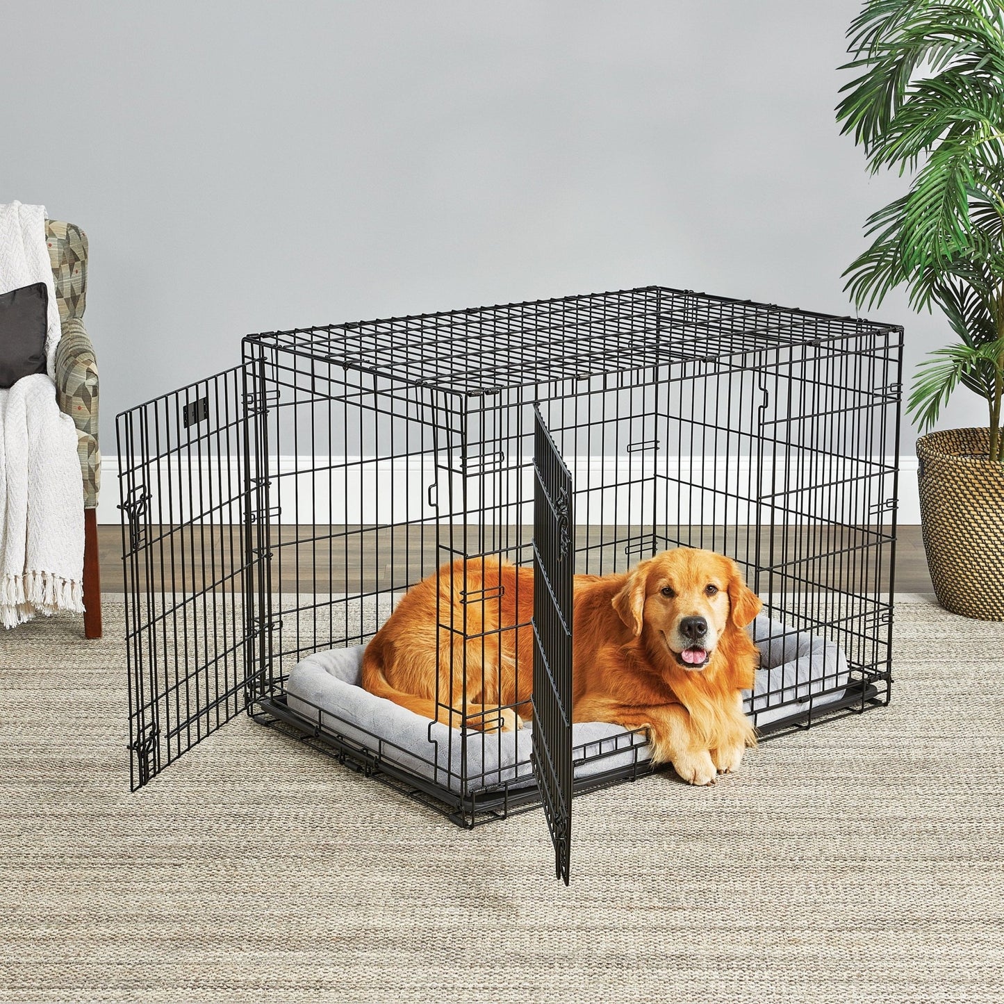 Midwest Lifestages Double Door Dog Crate, 48" - Eco and More Pet Store DBA Overseen